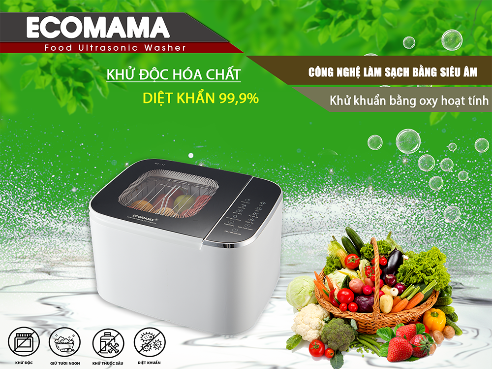 máy rửa thực phẩm ecomama